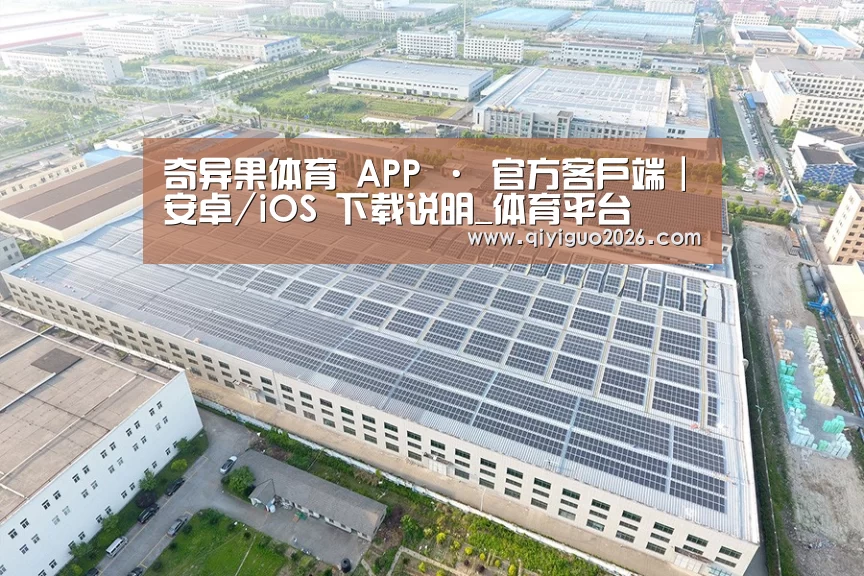 案例展示四
