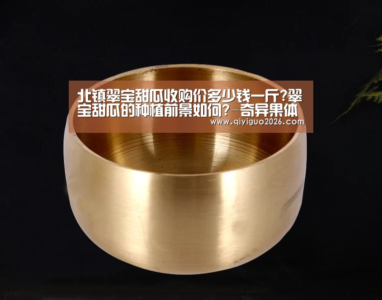 北镇翠宝甜瓜收购价多少钱一斤?翠宝甜瓜的种植前景如何?-奇异果体育下载app(图1) 奇异果体育下载