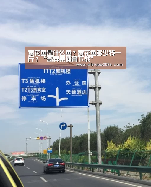 奇异果体育下载