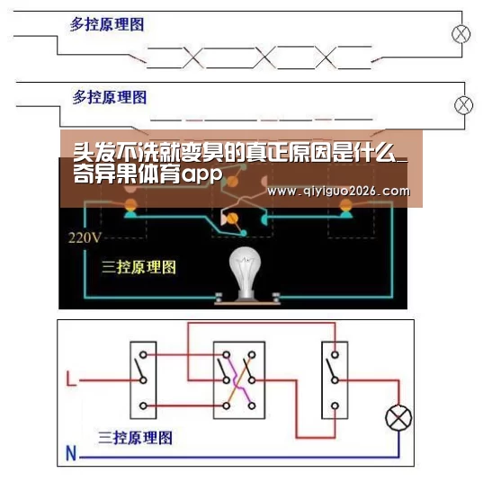 头发不洗就变臭的真正原因是什么_奇异果体